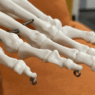 Anatomisk fotskelett